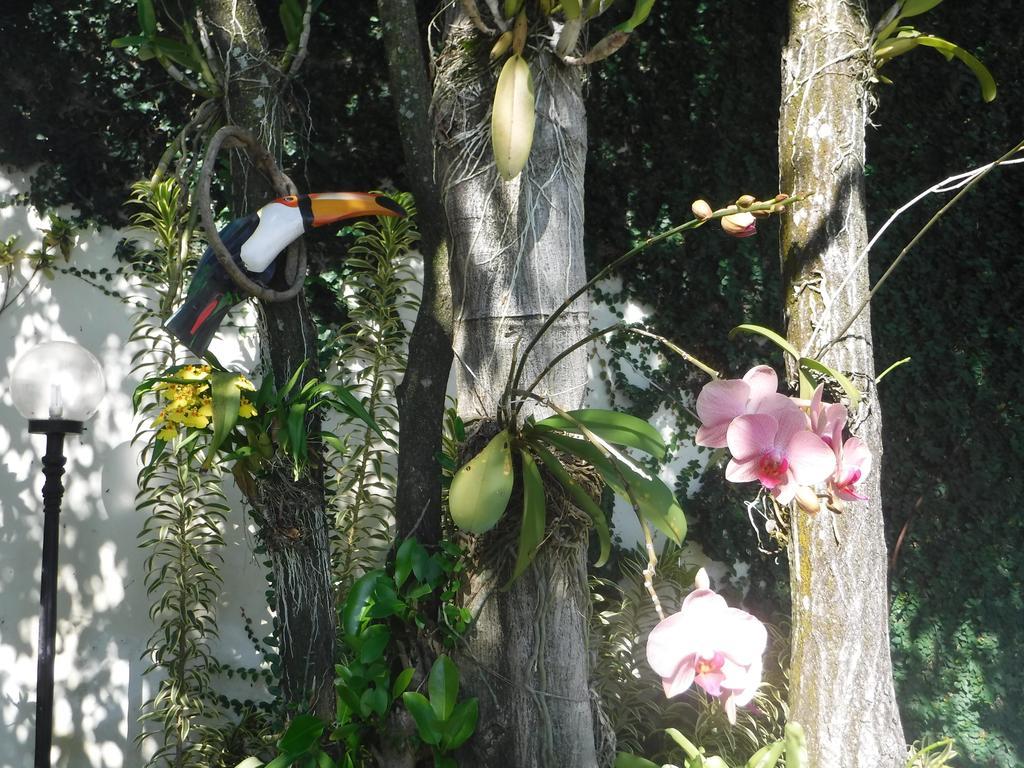 Nature Paradise Boutique Hotel Rio de Janeiro Exterior foto