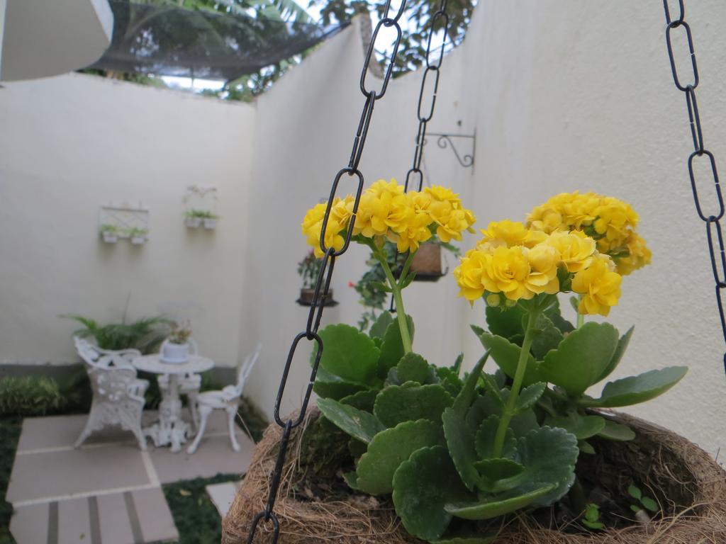 Nature Paradise Boutique Hotel Rio de Janeiro Exterior foto